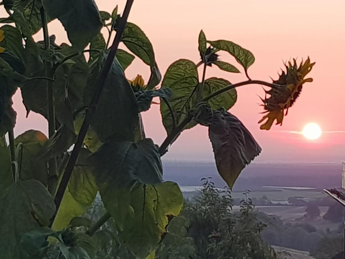 Schoene Aussicht Nideggen Εξωτερικό φωτογραφία